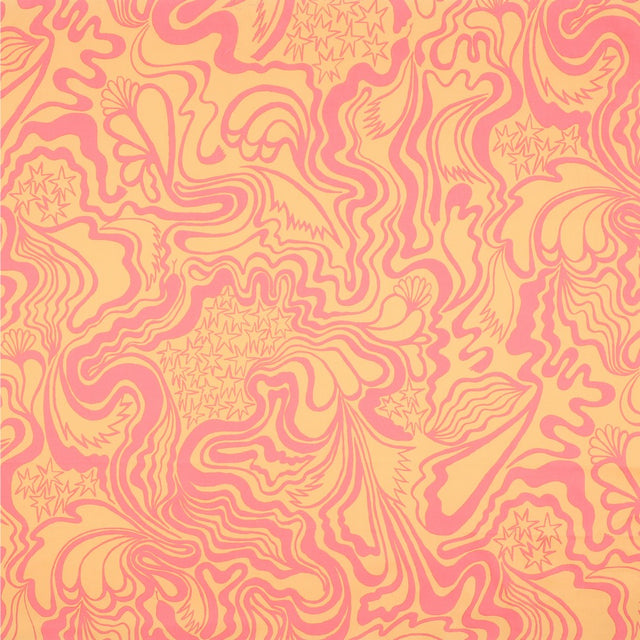 Fine Cotton Poplin - Wanderer Orange