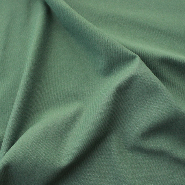 Knit Denim - Fern