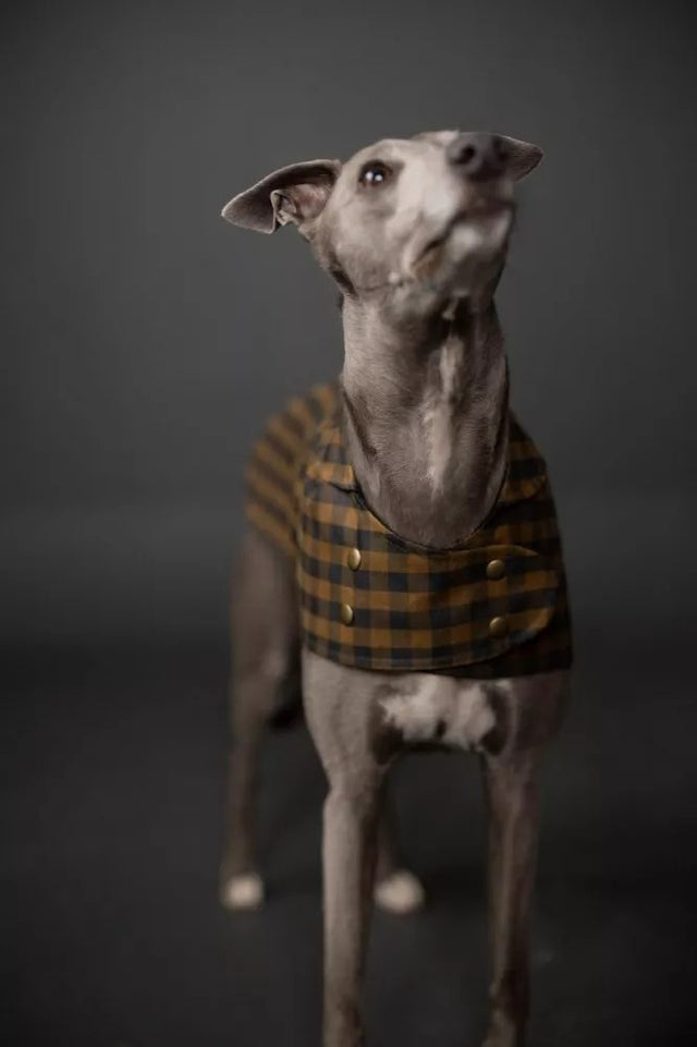 BARKA Dog Coat *less than 1m