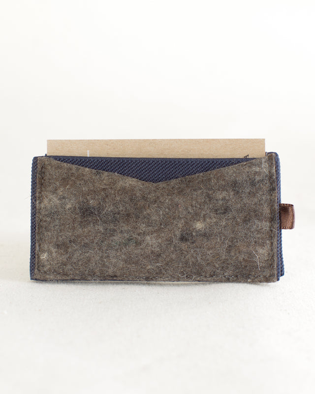 The Elastic Wallet PDF